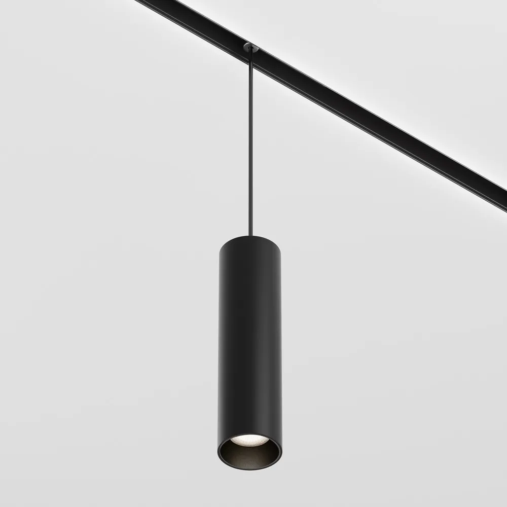 Трековый подвесной светильник Focus LED TR041-2-12W4K-B