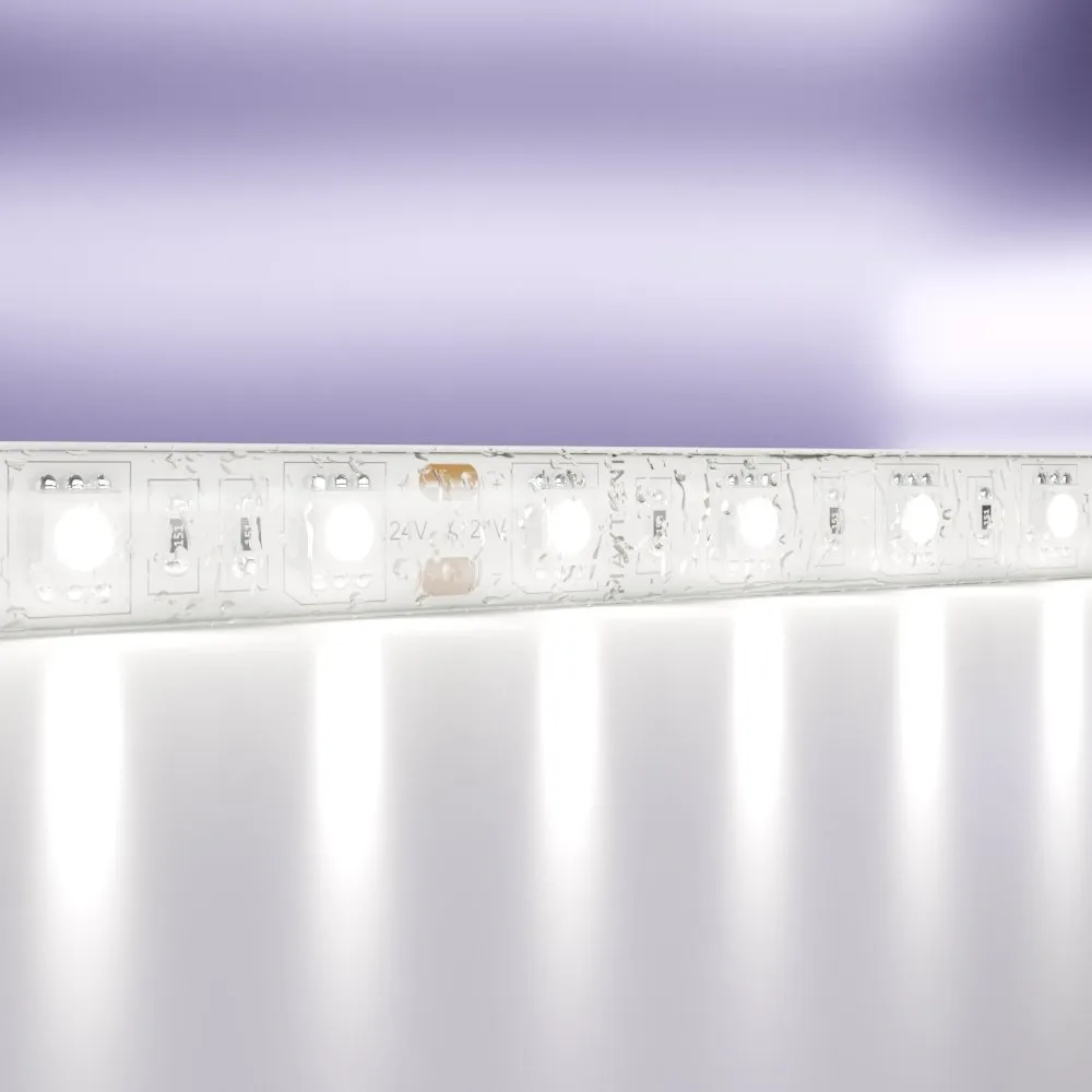 10173 Светильник Светодиодная лента Standard 6000K 120.0° IP 65 Медь LED Белый 14,4Вт