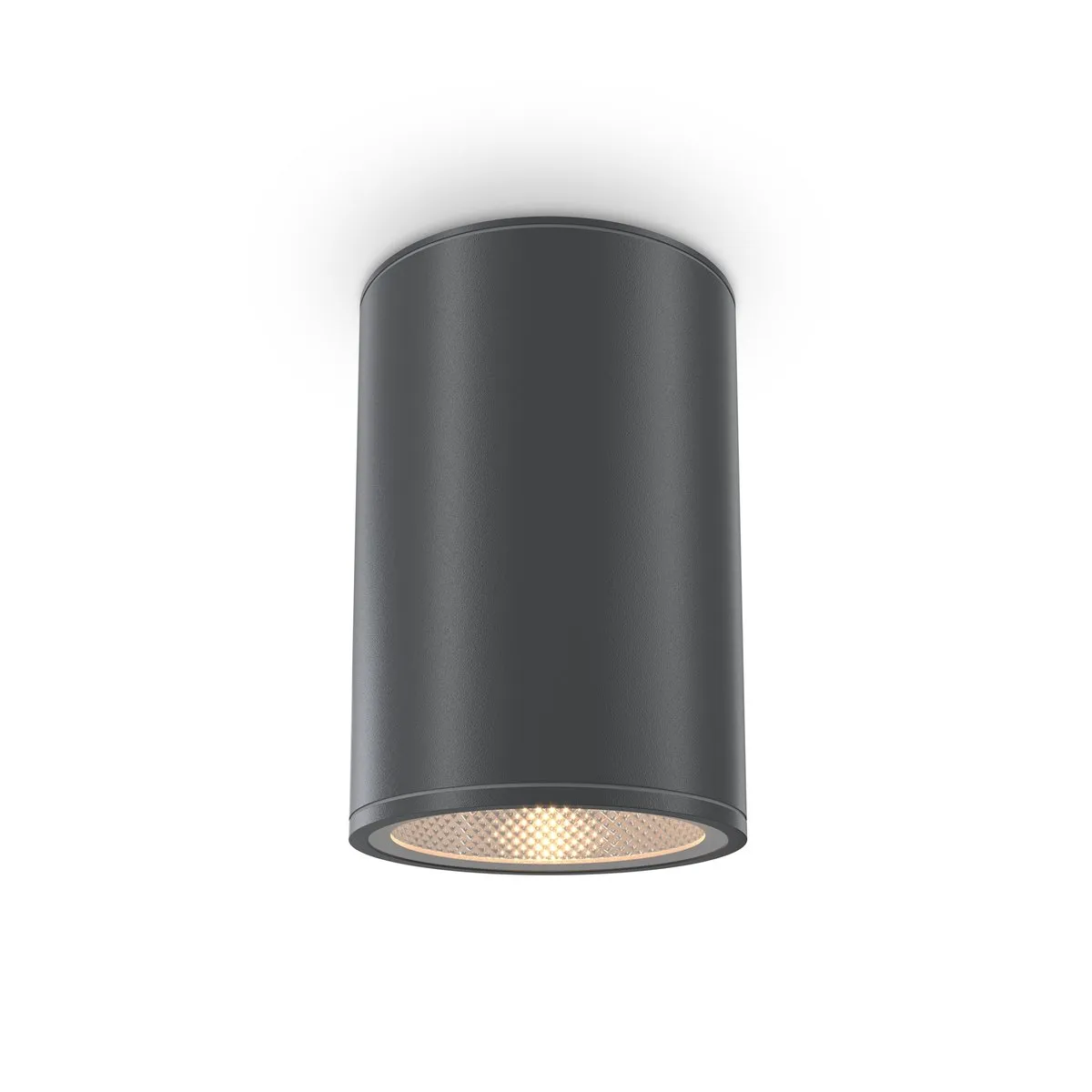 O306CL-L12GF Потолочный Светильник Outdoor 3000K 81.0° IP 65 Металл LED Графит 12Вт